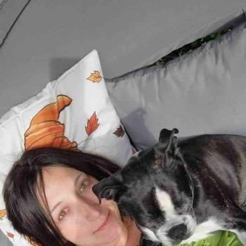 rossa - date a French, 100% free rossa